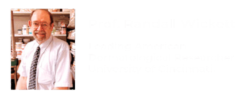 BioSil Internacioanal